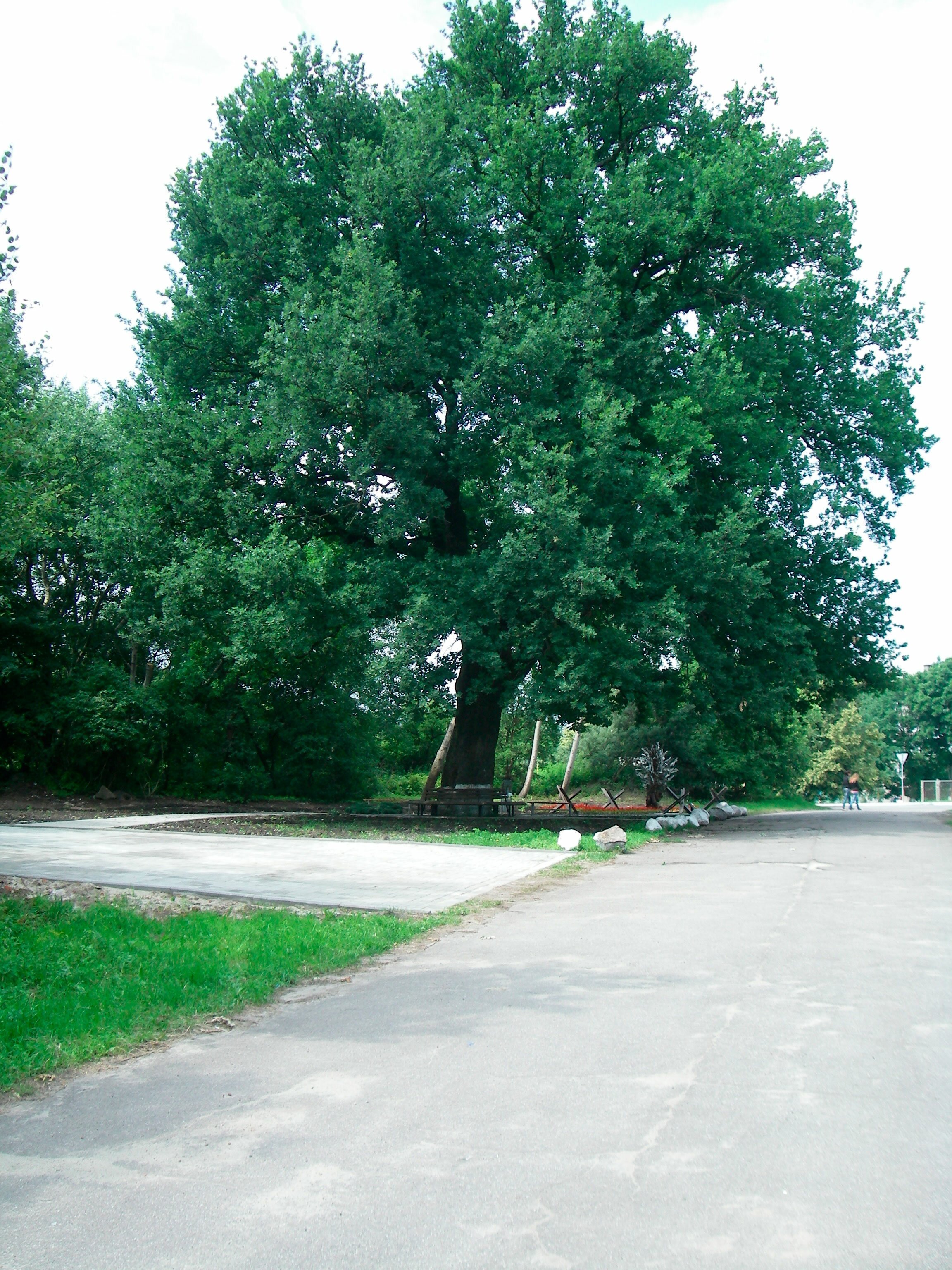    2011 .